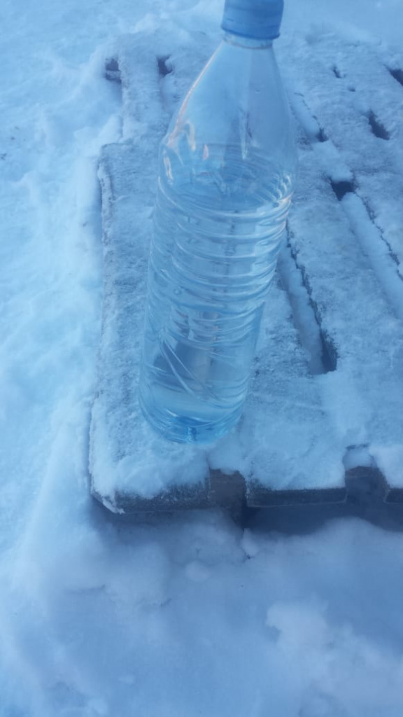 зимнее топливо роснефти